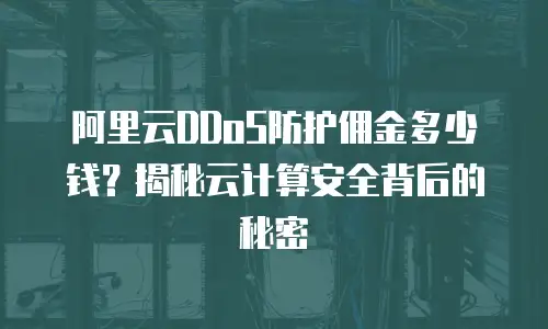 阿里云DDoS防护佣金多少钱？揭秘云计算安全背后的秘密