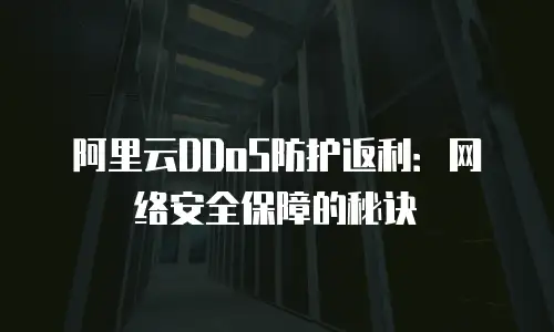 阿里云DDoS防护返利：网络安全保障的秘诀
