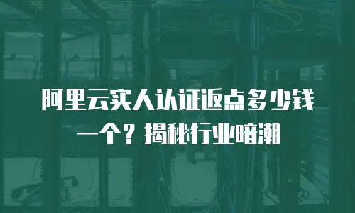 阿里云实人认证返点多少钱一个？揭秘行业暗潮