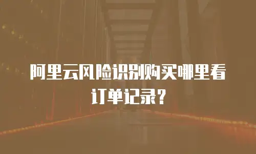 阿里云风险识别购买哪里看订单记录？
