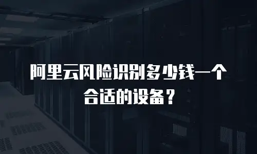 阿里云风险识别多少钱一个合适的设备？