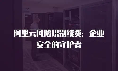 阿里云风险识别续费：企业安全的守护者