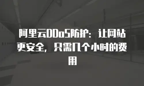 阿里云DDoS防护：让网站更安全，只需几个小时的费用