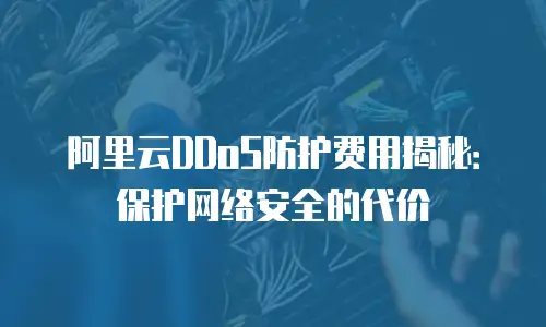 阿里云DDoS防护费用揭秘：保护网络安全的代价