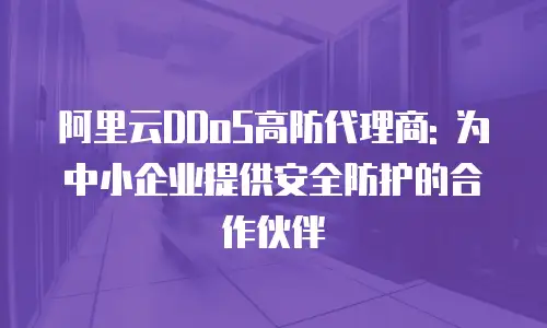 阿里云DDoS高防代理商: 为中小企业提供安全防护的合作伙伴