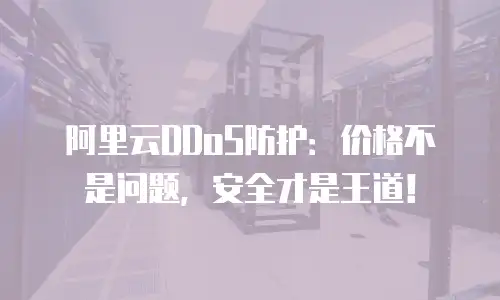 阿里云DDoS防护：价格不是问题，安全才是王道！