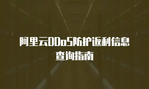 阿里云DDoS防护返利信息查询指南
