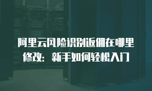 阿里云风险识别返佣在哪里修改：新手如何轻松入门