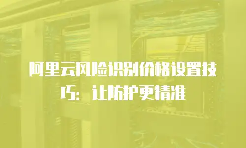 阿里云风险识别价格设置技巧：让防护更精准