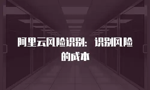 阿里云风险识别：识别风险的成本