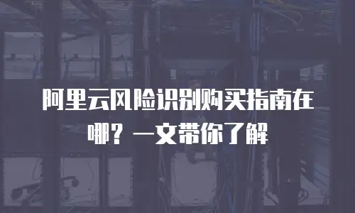 阿里云风险识别购买指南在哪？一文带你了解