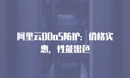 阿里云DDoS防护：价格实惠，性能出色
