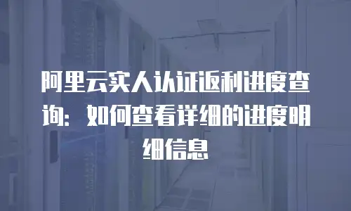 阿里云实人认证返利进度查询：如何查看详细的进度明细信息
