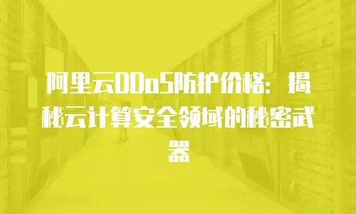 阿里云DDoS防护价格：揭秘云计算安全领域的秘密武器