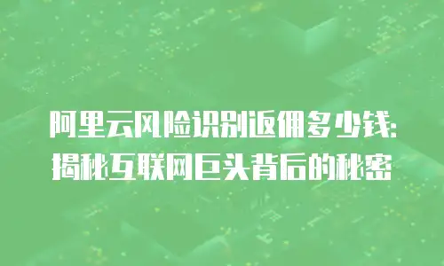 阿里云风险识别返佣多少钱：揭秘互联网巨头背后的秘密
