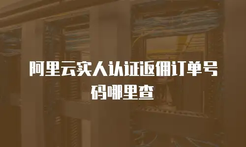 阿里云实人认证返佣订单号码哪里查