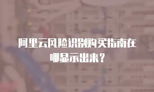 阿里云风险识别购买指南在哪显示出来？