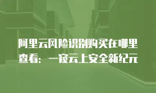 阿里云风险识别购买在哪里查看：一窥云上安全新纪元