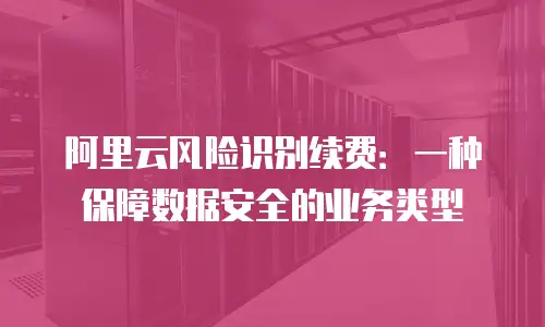 阿里云风险识别续费：一种保障数据安全的业务类型