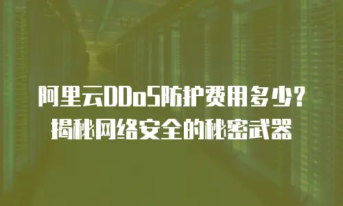 阿里云DDoS防护费用多少？揭秘网络安全的秘密武器