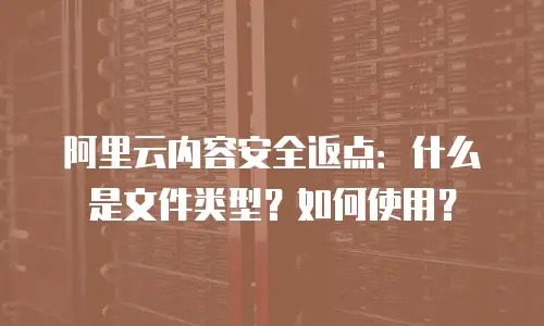 阿里云内容安全返点：什么是文件类型？如何使用？