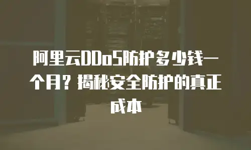 阿里云DDoS防护多少钱一个月？揭秘安全防护的真正成本
