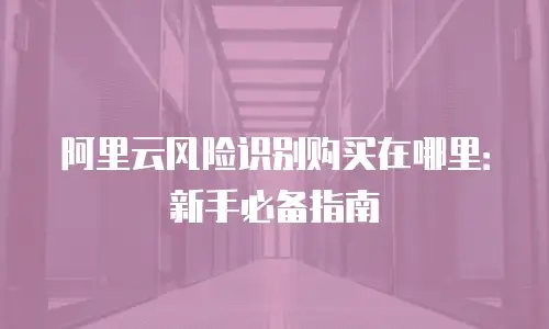阿里云风险识别购买在哪里：新手必备指南