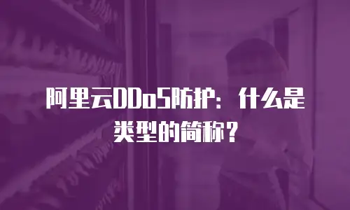 阿里云DDoS防护：什么是类型的简称？