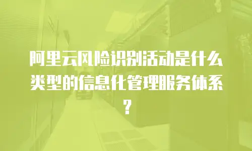 阿里云风险识别活动是什么类型的信息化管理服务体系？