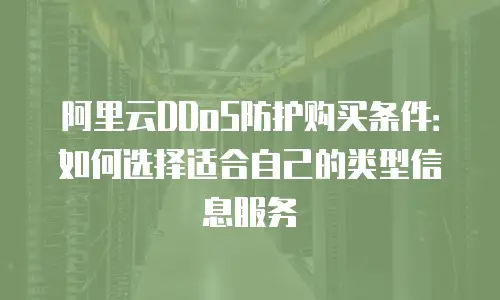 阿里云DDoS防护购买条件：如何选择适合自己的类型信息服务