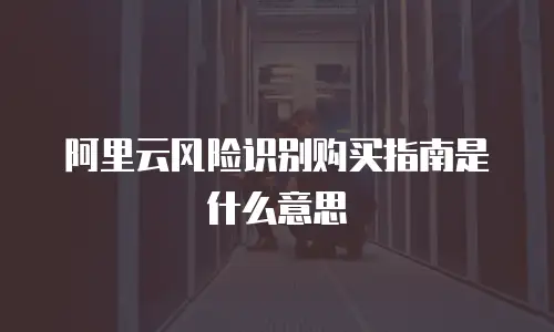 阿里云风险识别购买指南是什么意思