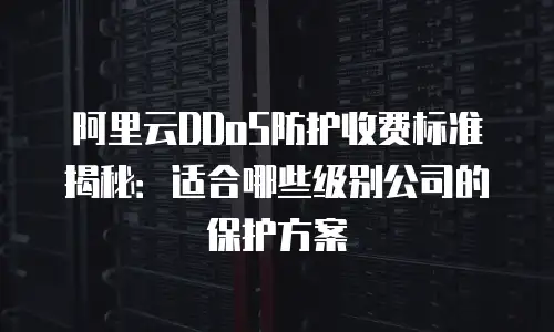 阿里云DDoS防护收费标准揭秘：适合哪些级别公司的保护方案