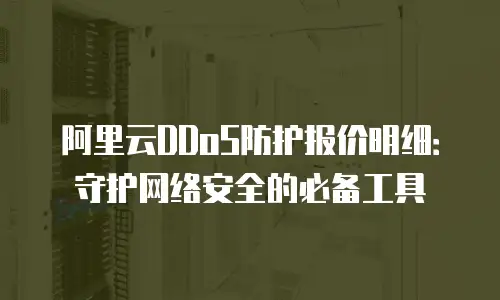阿里云DDoS防护报价明细：守护网络安全的必备工具