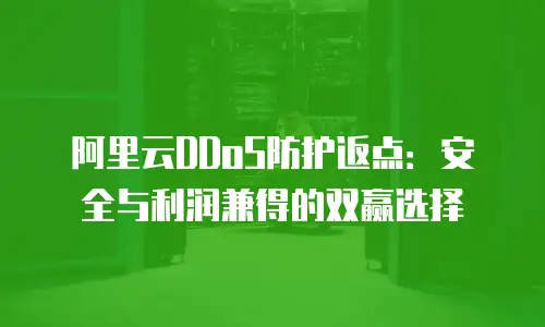阿里云DDoS防护返点：安全与利润兼得的双赢选择