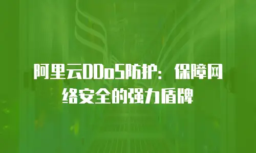 阿里云DDoS防护：保障网络安全的强力盾牌