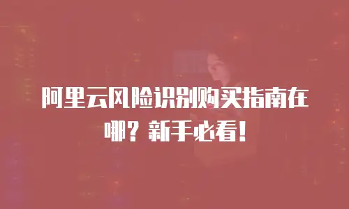 阿里云风险识别购买指南在哪？新手必看！