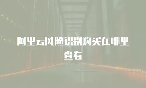 阿里云风险识别购买在哪里查看