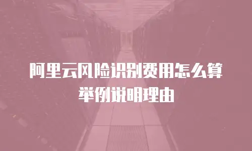 阿里云风险识别费用怎么算举例说明理由