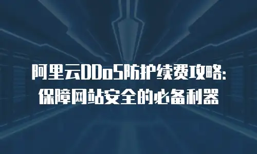 阿里云DDoS防护续费攻略：保障网站安全的必备利器