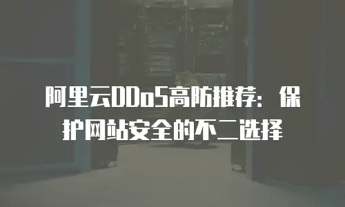 阿里云DDoS高防推荐：保护网站安全的不二选择