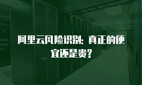 阿里云风险识别: 真正的便宜还是贵?