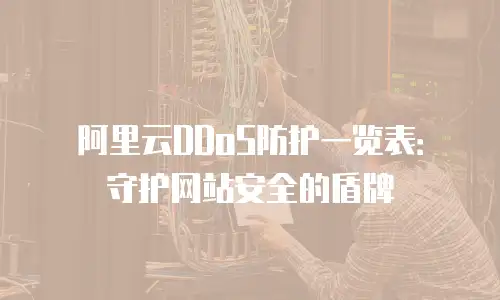阿里云DDoS防护一览表：守护网站安全的盾牌