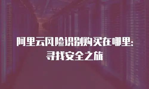 阿里云风险识别购买在哪里：寻找安全之旅