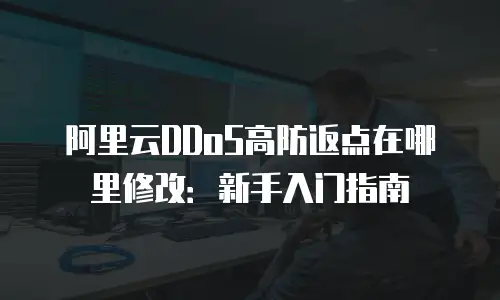 阿里云DDoS高防返点在哪里修改：新手入门指南