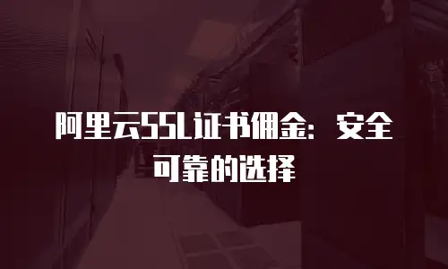 阿里云SSL证书佣金：安全可靠的选择