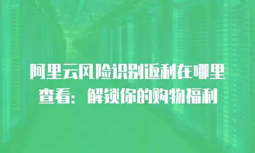 阿里云风险识别返利在哪里查看：解锁你的购物福利