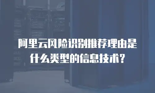 阿里云风险识别推荐理由是什么类型的信息技术？