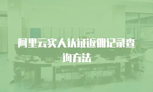 阿里云实人认证返佣记录查询方法