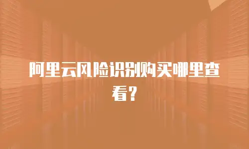 阿里云风险识别购买哪里查看？
