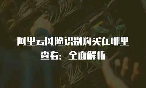 阿里云风险识别购买在哪里查看：全面解析